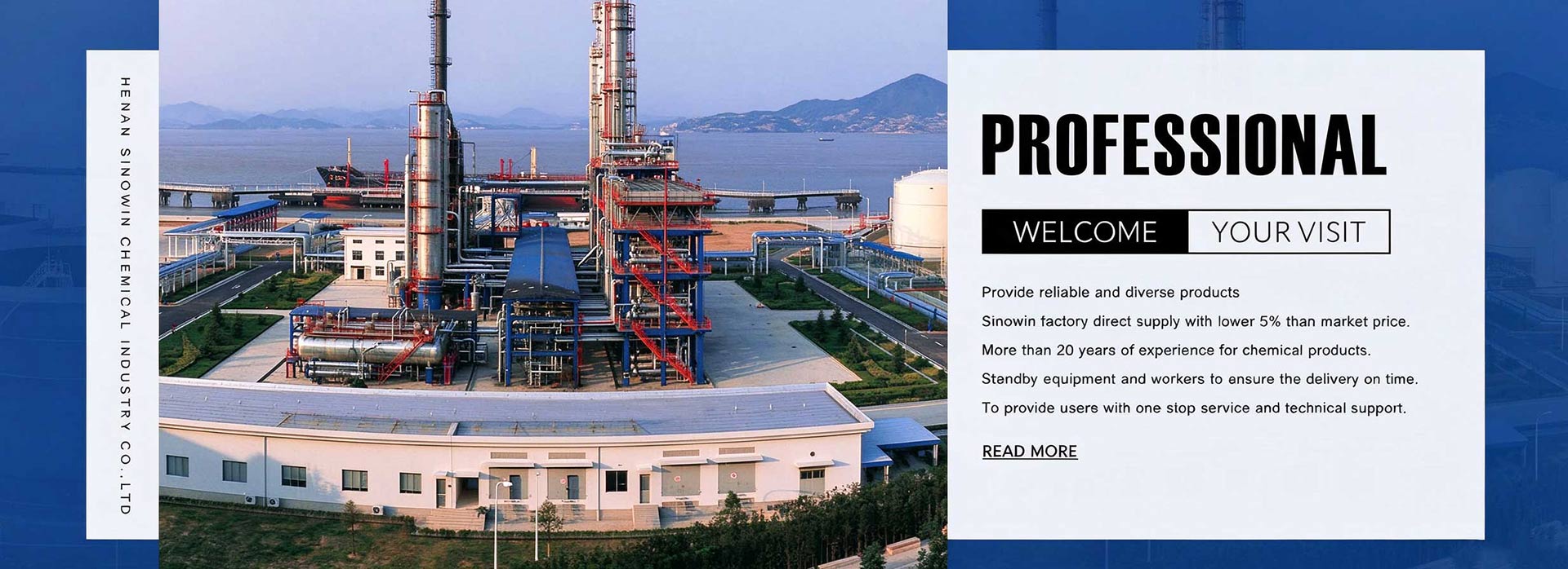 Professional Manufacturer